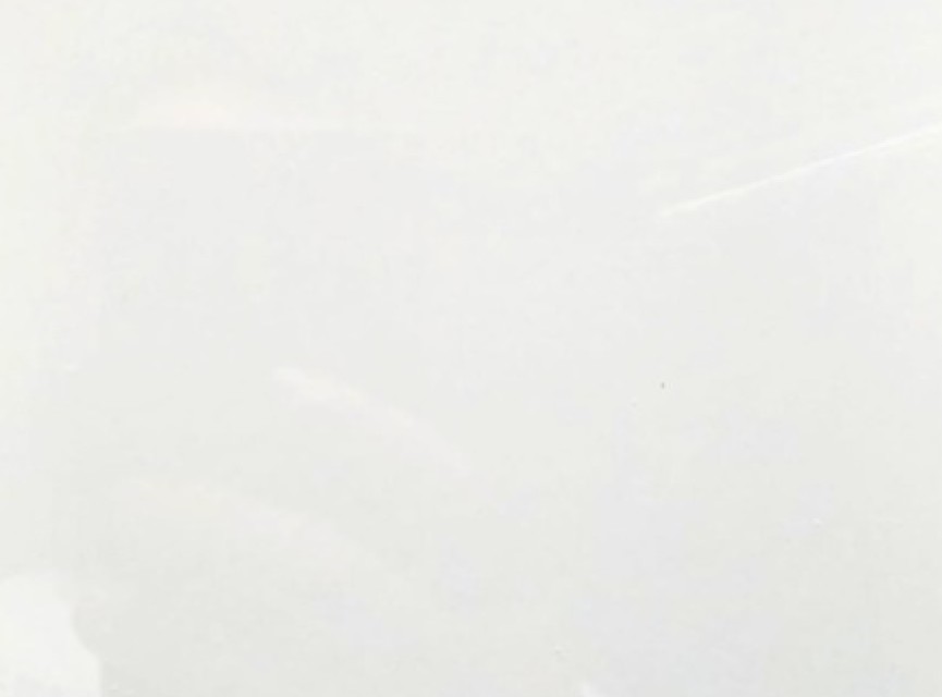 Oppio €67 PER PANEEL - PVC Wandpaneel Hoogglans Wit - 120x280x0,3 cm