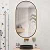 ELLIPS - 40x75 CM ( ZWART ) Toilet / Badkamerspiegel met verlichting