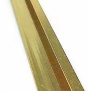 Oppio Eindprofiel tbv. PVC Wandpanelen - Goud 27x280x21