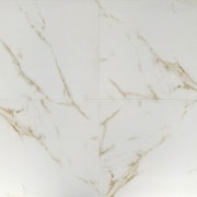 OPPIO Hoogglans GOLD Calacatta (NEO Carrara) 60x60 Vloertegel / Gepolijst En Gerectificeerd / Woonkamer / Badkamer / Winkelruimte