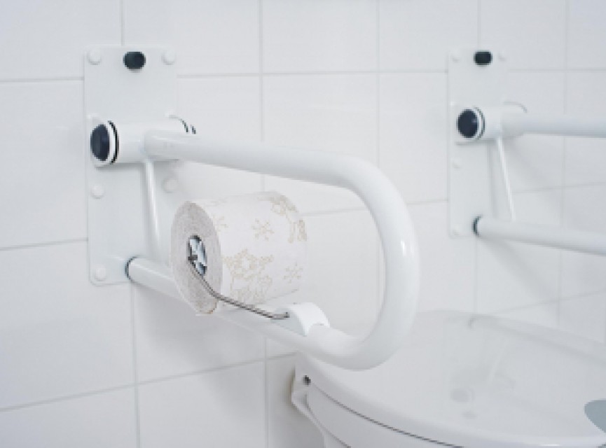 Ridder Leo toiletrolhouder voor toiletbeugel wit