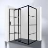 Douchecabine Zeplin-1200 met nisdeur 1200x900x2100x8mm