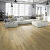 Floorlife Inwood basel laminaat 138 x 24,4cm