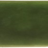 Handmade Trendy Urano Verde Hoogglans Wandtegel / Metro tegel / 5x25 / tbv Woonkamer muur / Badkamer / Toilet / Winkelruimte