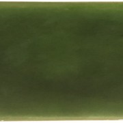 Handmade Trendy Urano Verde Hoogglans Wandtegel / Metro tegel / 5x25 / tbv Woonkamer muur / Badkamer / Toilet / Winkelruimte