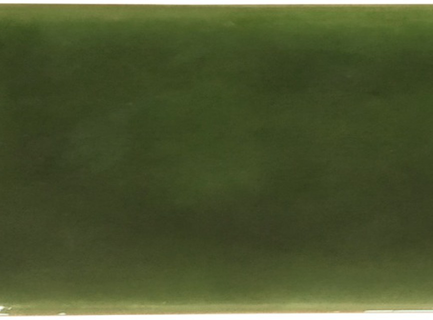 Handmade Trendy Urano Verde Hoogglans Wandtegel / Metro tegel / 5x25 / tbv Woonkamer muur / Badkamer / Toilet / Winkelruimte