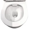 Short-Rimfree 2.0 wandcloset 49 cm incl.zitting