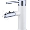 Bicolor-White wastafelmengkraan wit/chroom