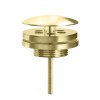 Nancy low fontein afvoer plug 5/4 mat-goud