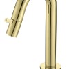 Nancy toiletkraan Macine mat-goud