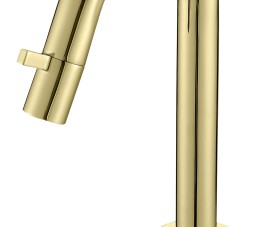Nancy toiletkraan Macine mat-goud
