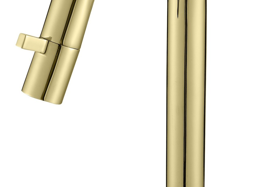 Nancy toiletkraan Macine mat-goud