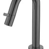 Moya toiletkraan Dimora gunmetal