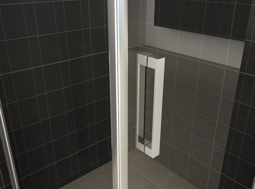 schuifbare nisdeur 2-d. 1200x2000 chr.8mm NANO