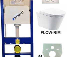 Geberit UP 100 Flow Rim wc+zitt.+ Delta 21 wit