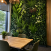Oppio 100x100 cm - OPPIO Moss Panel Kunsthaag - DAINTREE