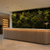 Oppio 100x100 cm - OPPIO Moss Panel Kunsthaag - SOLIMOES
