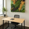 100x100 cm - OPPIO Moss Panel Kunsthaag - RIO NEGRO